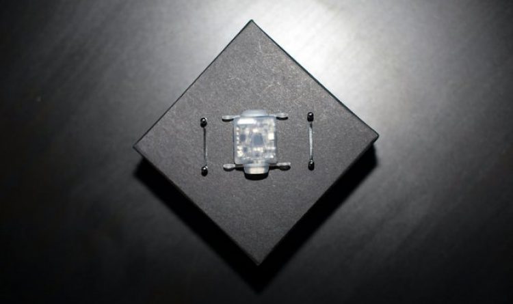 Стань киборгом: чип, который наделит человека шестым «магнитным» чувством