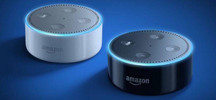 Голосовой помощник Amazon Echo